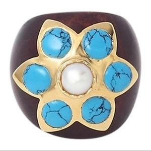 ISHARYA Turquoise Nizam Ebony Wood Ring - Size 6